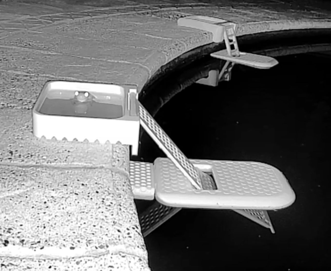FrodRamp: Frog and Lizard Saving Pool Ramp