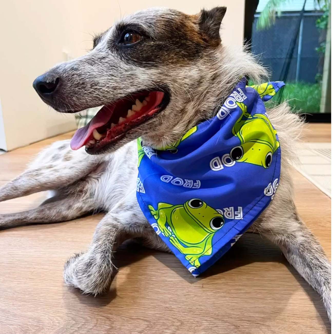 FrodDog Bandana