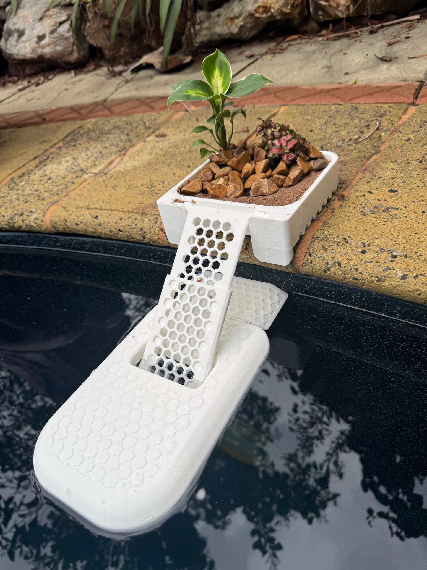 Frod (Frog) Pool Ramp