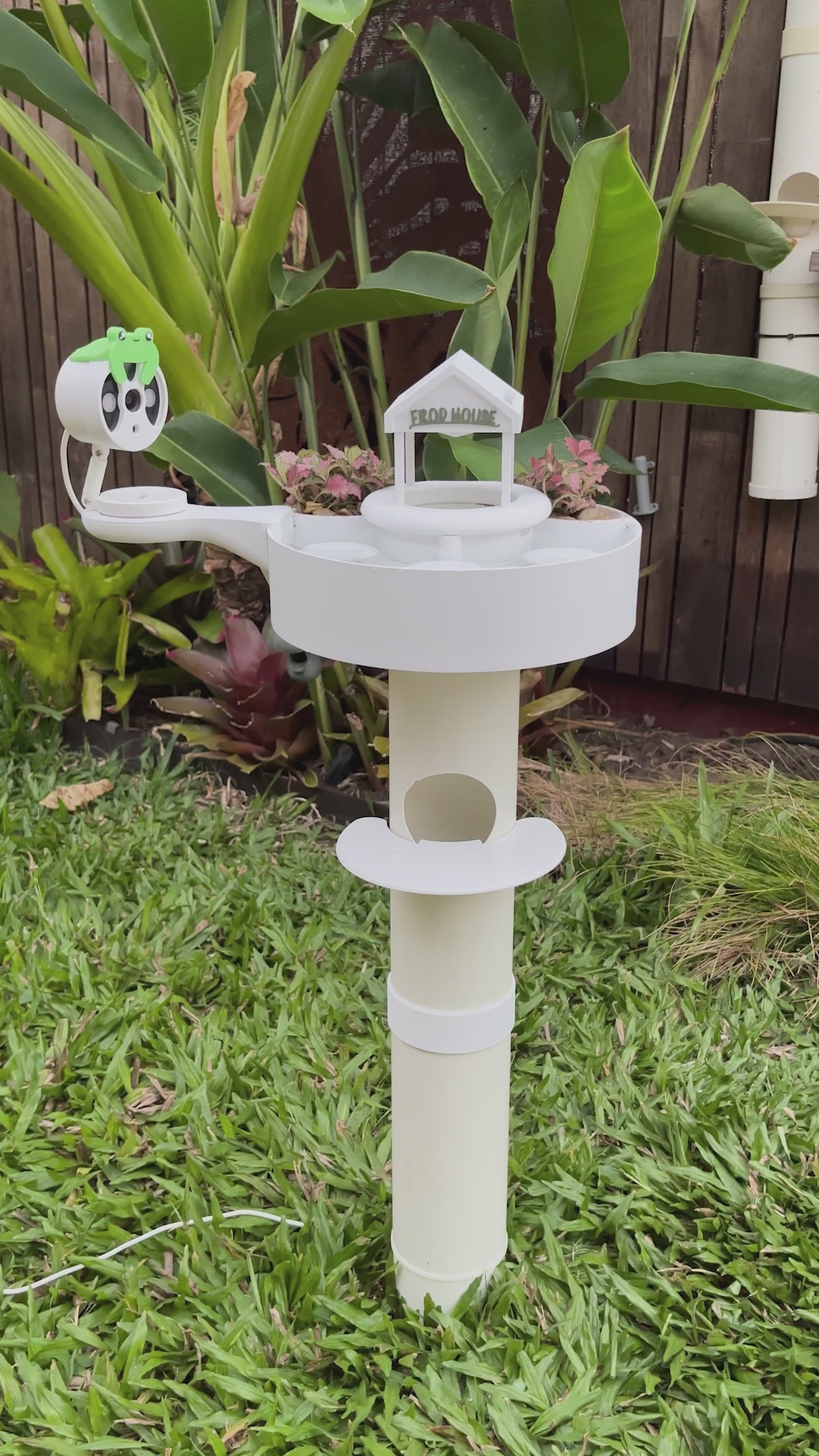 FrodHouse & Camera - Tree Frog Hotel for Climbing Frogs – FrodDesign