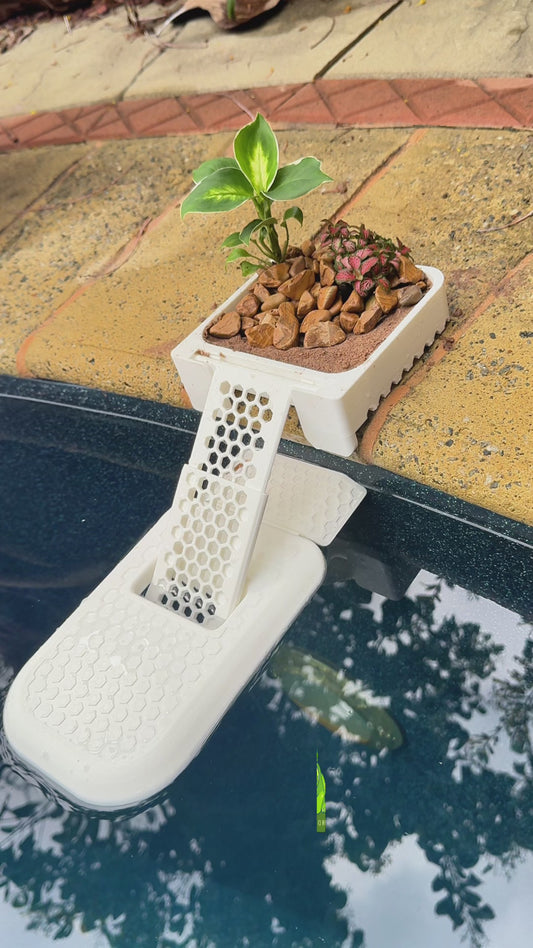 FrodRamp: Frog and Lizard Saving Pool Ramp