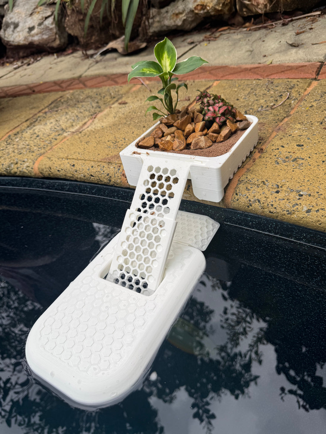 How to Install a Frog Ladder or Wildlife Escape Ramp in Your Pool