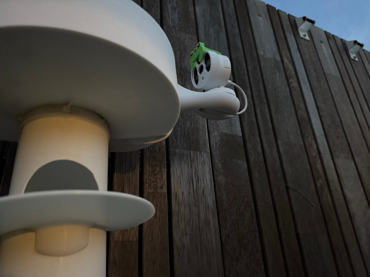 FrodHouse & Camera - Tree Frog Hotel for Climbing Frogs – FrodDesign