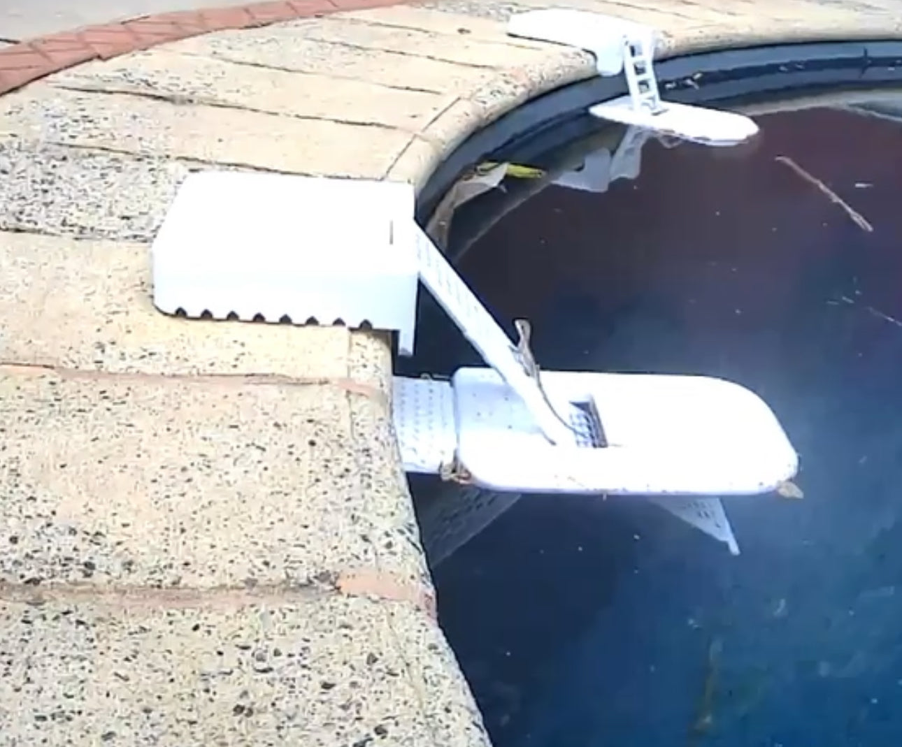 Frod (Frog) Pool Ramp – FrodDesign